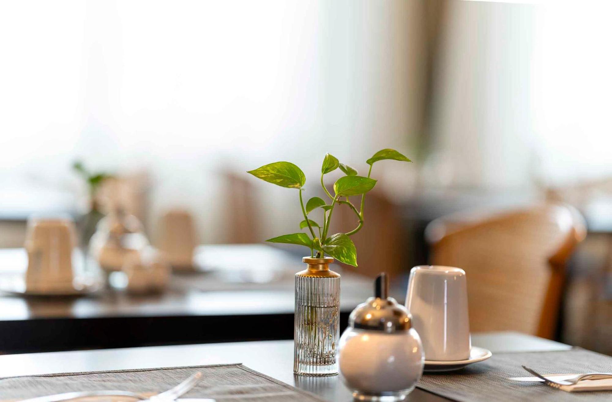 Plaza Inn Blankenburg Ditzingen, Sure Hotel Collection Ngoại thất bức ảnh