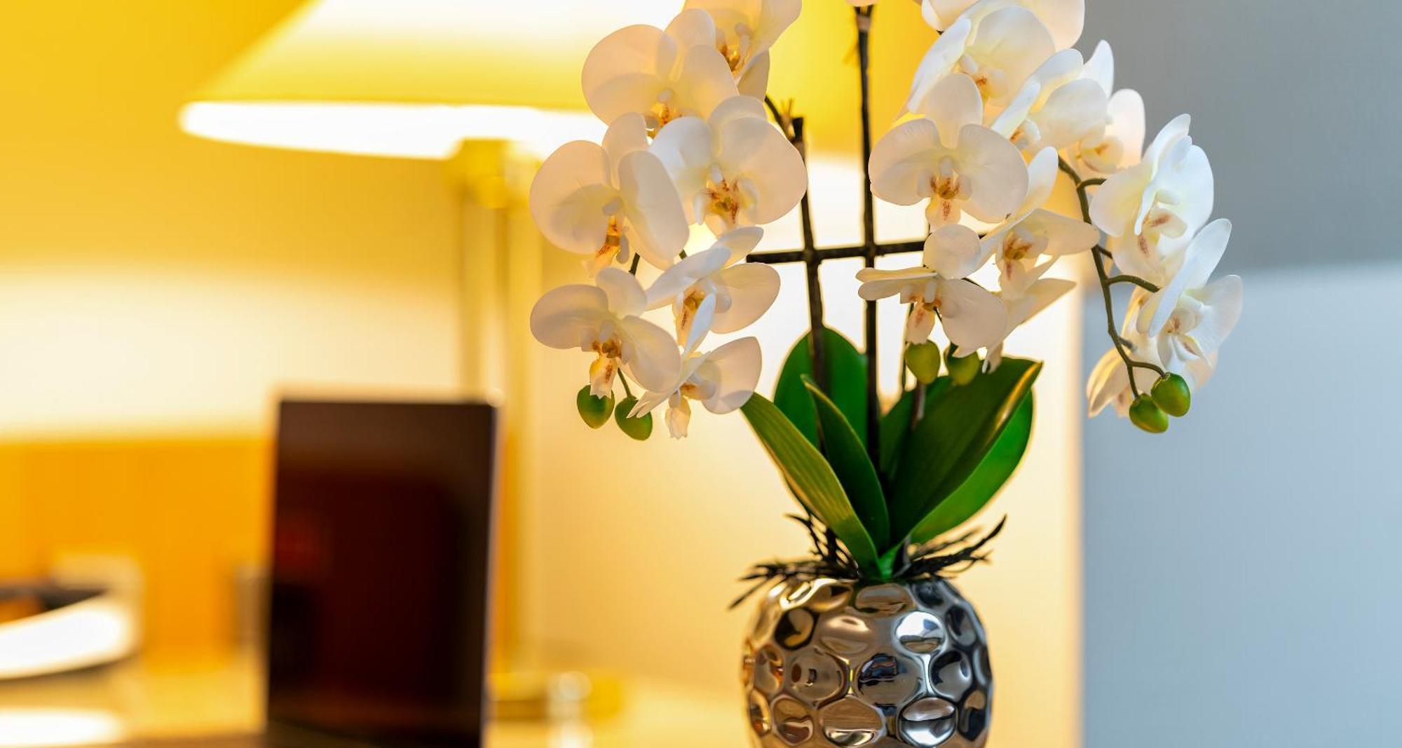 Plaza Inn Blankenburg Ditzingen, Sure Hotel Collection Ngoại thất bức ảnh